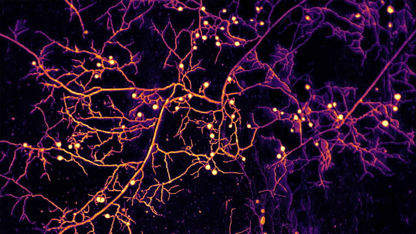 03.Credit_Loreto Oyarte